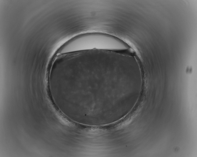 X0000092011077200709201525