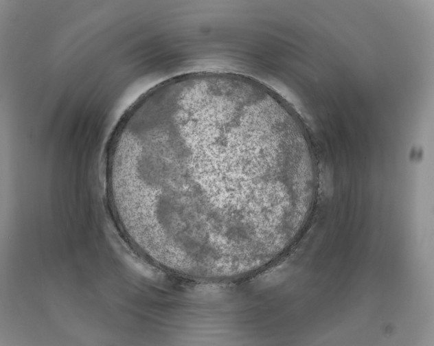 X0000092011078200709201525