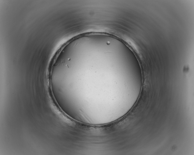 X0000092011080200709201525