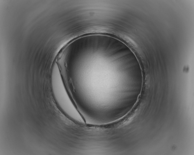 X0000092011081200709201525