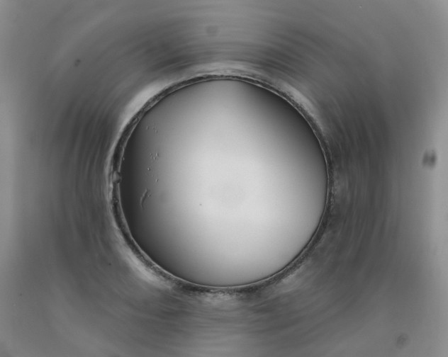X0000092011082200709201525