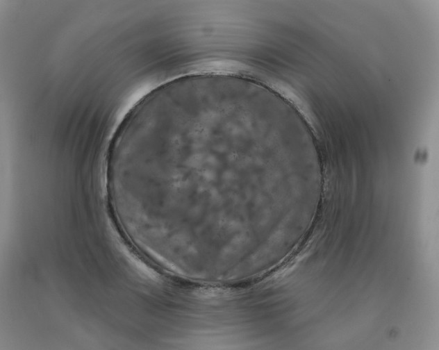 X0000092011083200709201525