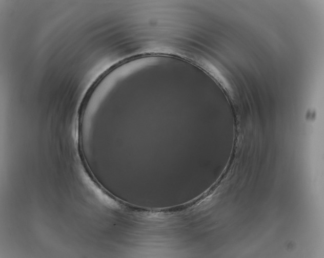 X0000092011084200709201525