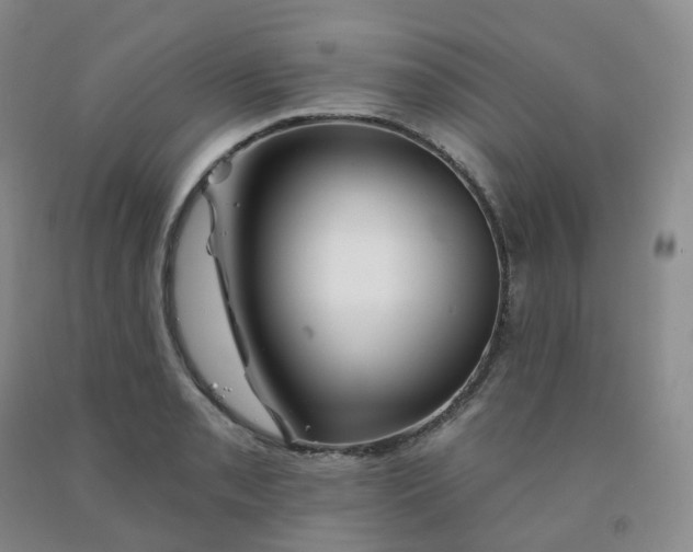 X0000092011085200709201525