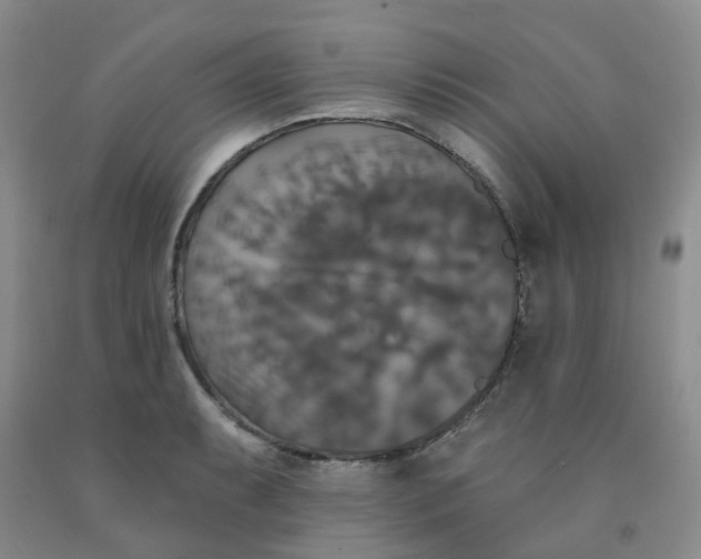 X0000092011087200709201525