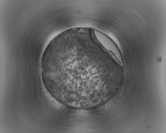 X0000092011088200709201525