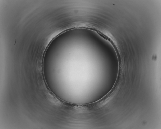 X0000092011089200709201525