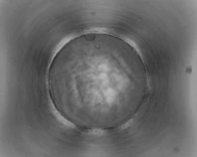 X0000092011090200709201525
