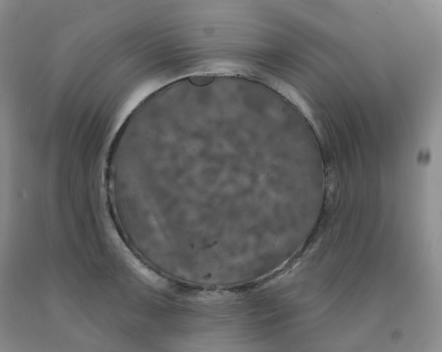 X0000092011091200709201525