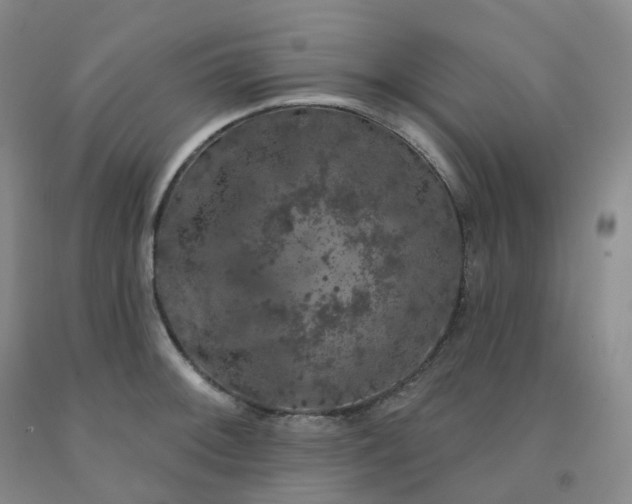 X0000092011092200709201525