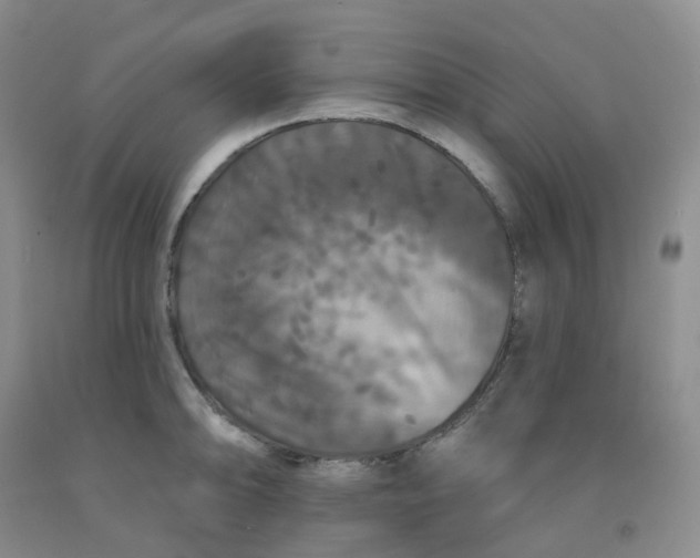 X0000092011094200709201525