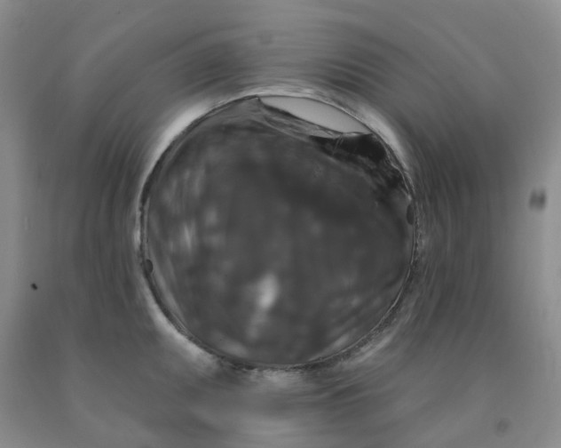 X0000092011095200709201525