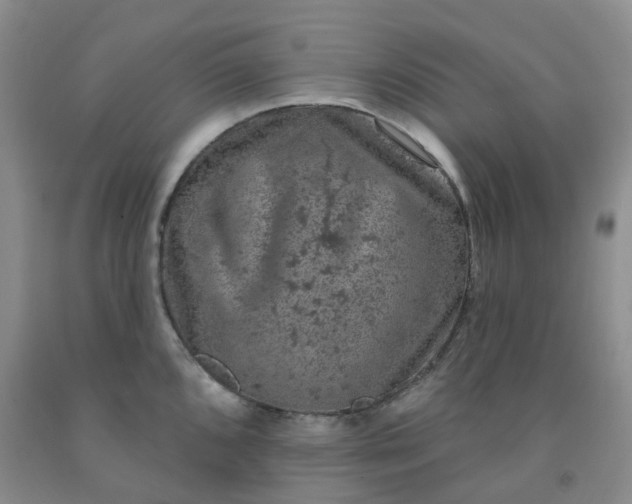 X0000092011096200709201525