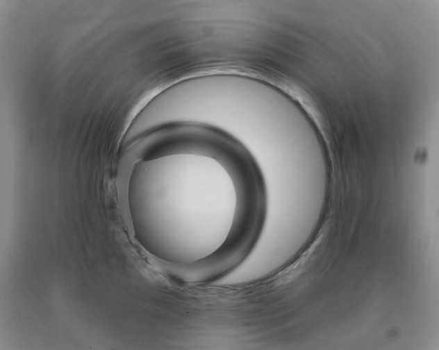 X0000092011097200709201525