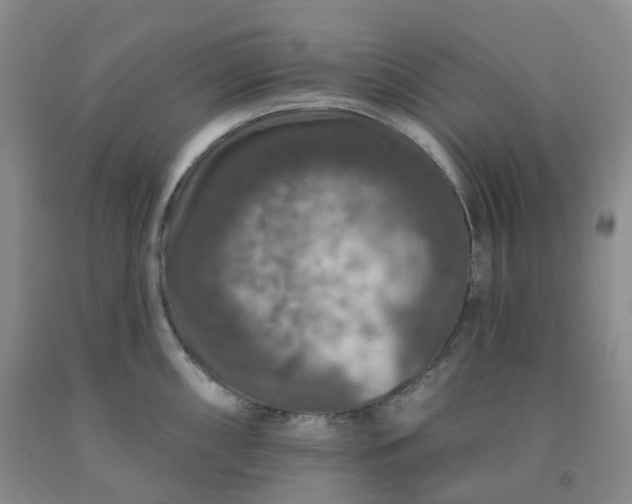 X0000092011098200709201525
