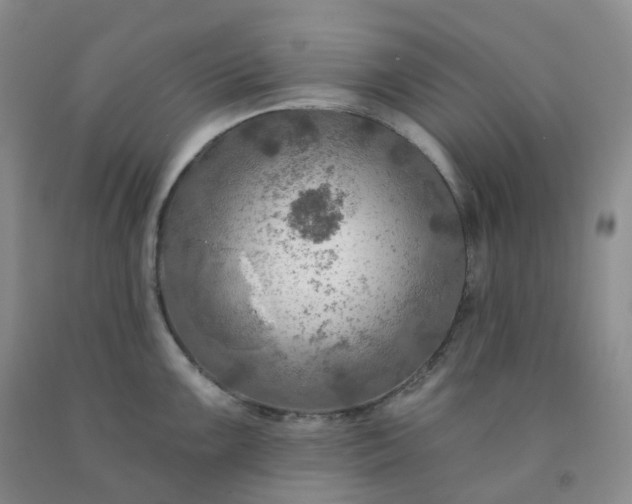 X0000092011099200709201525