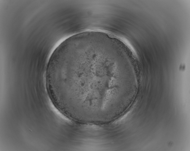 X0000092011100200709201525