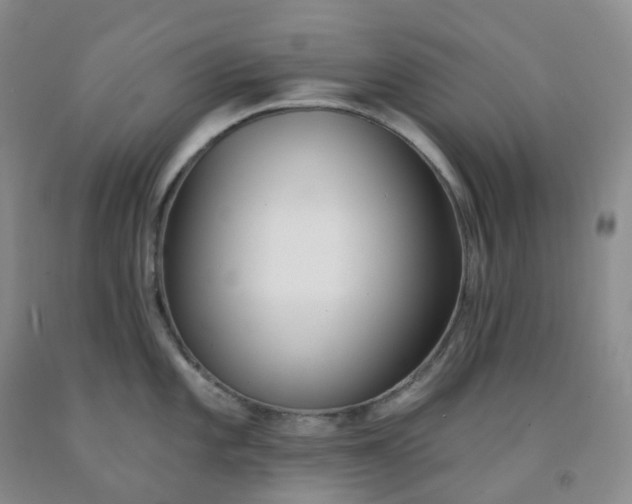 X0000092011101200709201525