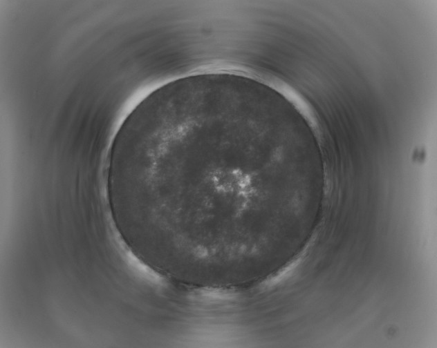 X0000092011102200709201525