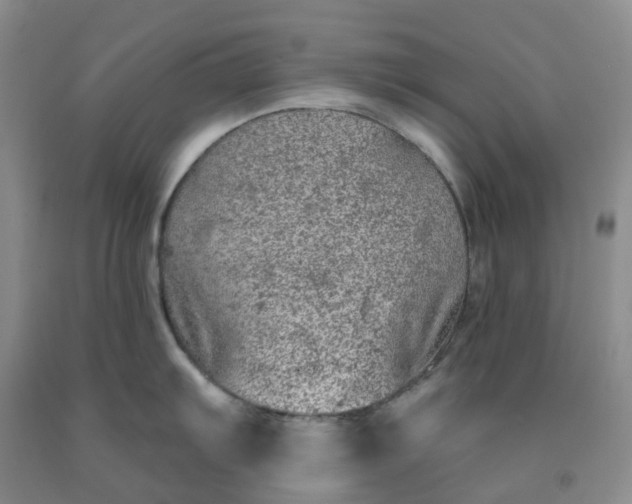 X0000092011103200709201525