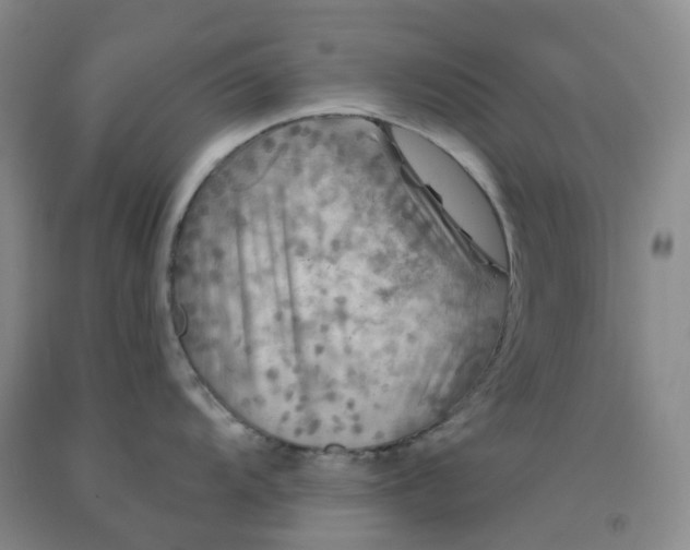 X0000092011104200709201525