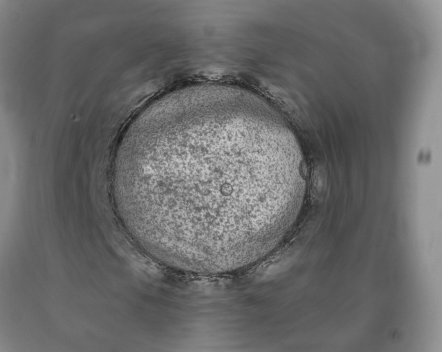 X0000092011105200709201524