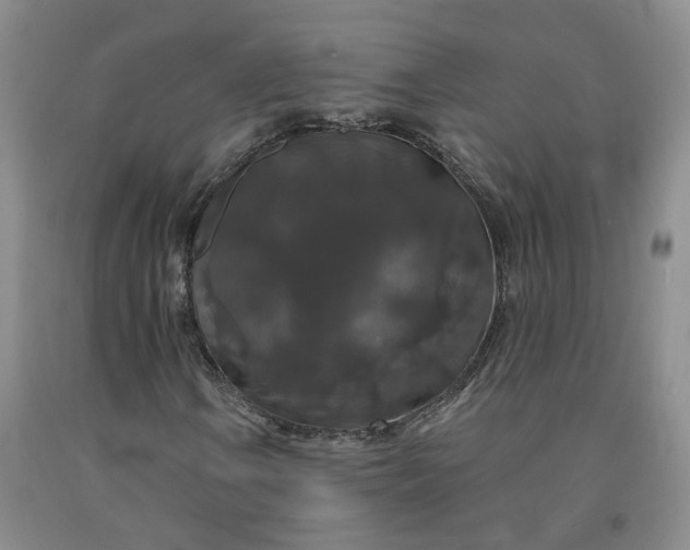 X0000092011106200709201524