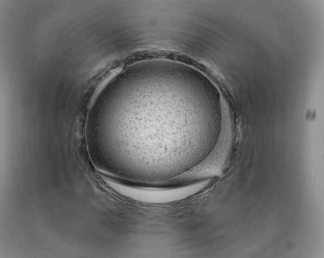 X0000092011110200709201524