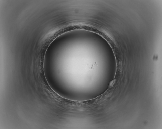 X0000092011111200709201524