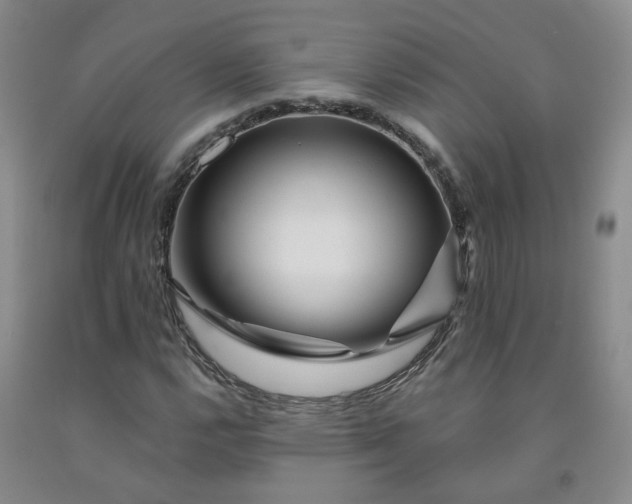 X0000092011112200709201524
