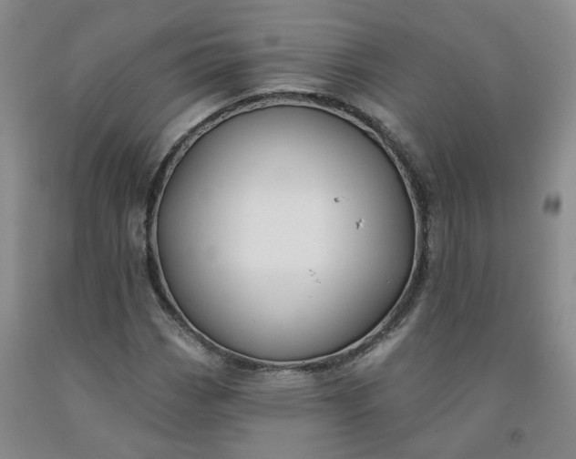 X0000092011113200709201524