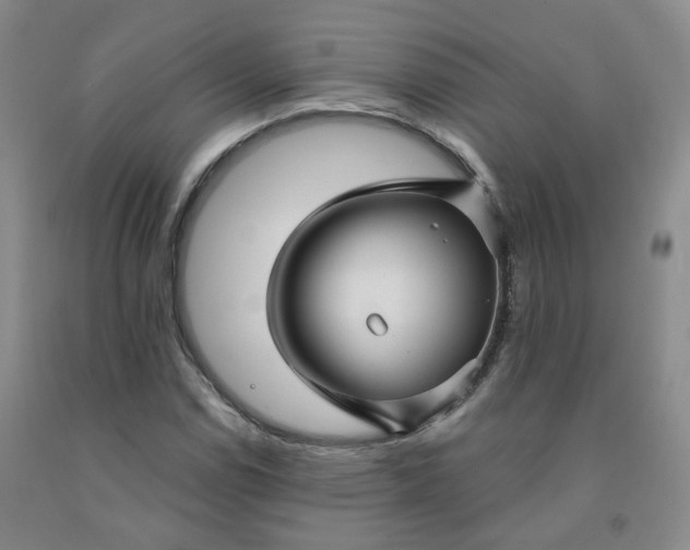 X0000092011114200709201524