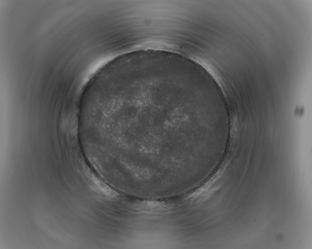 X0000092011115200709201524