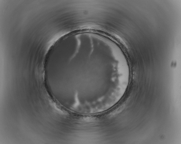 X0000092011117200709201524