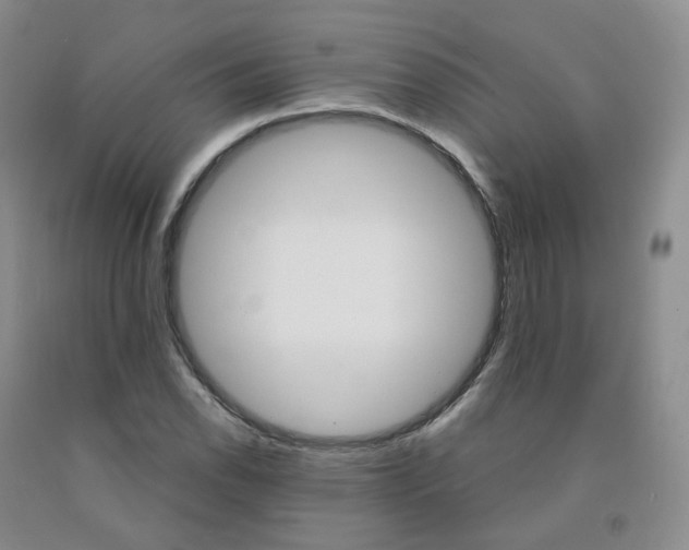 X0000092011118200709201524