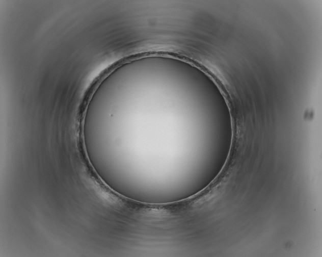 X0000092011119200709201524