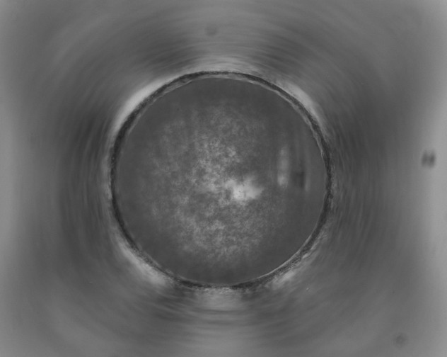 X0000092011120200709201524