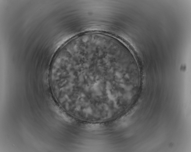 X0000092011121200709201524