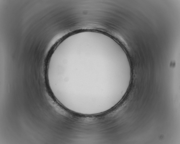 X0000092011122200709201524