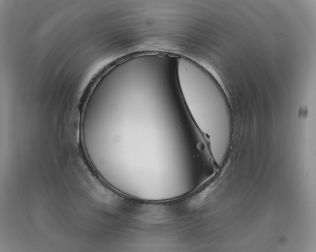 X0000092011123200709201524