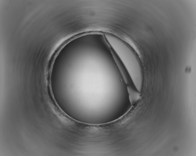 X0000092011124200709201524