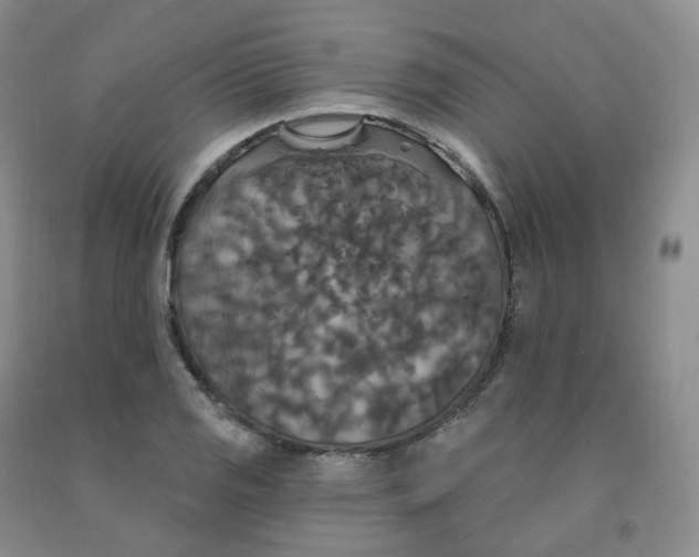X0000092011125200709201524