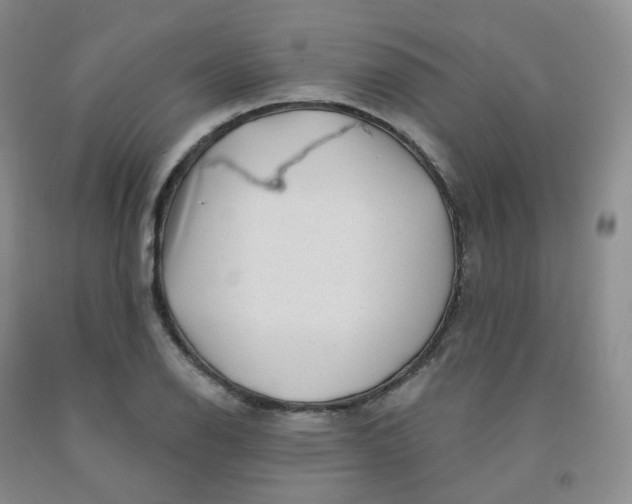 X0000092011126200709201524