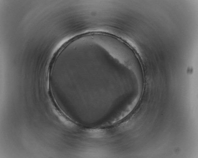 X0000092011127200709201524