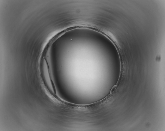 X0000092011128200709201524