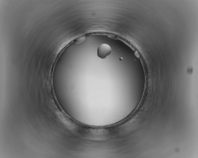 X0000092011129200709201524
