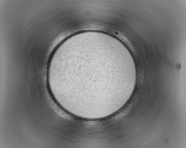 X0000092011130200709201524