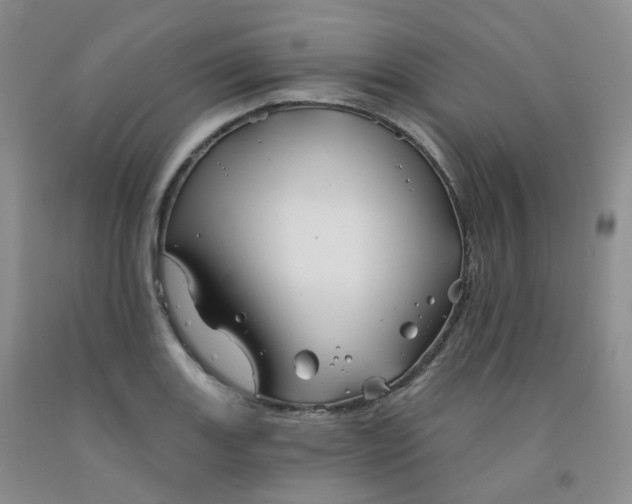 X0000092011131200709201524