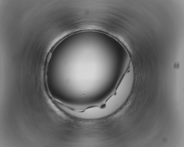 X0000092011134200709201524