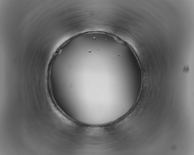 X0000092011135200709201524